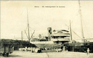 Arzew 162